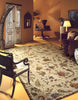 Palempore BG Aubusson Rug