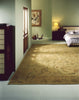 Palermo GD Oriental Rug