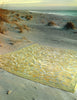 Sahara Oriental Rug