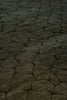 Mosaic M1 Oriental Rug