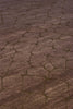 Mosaic N Oriental Rug